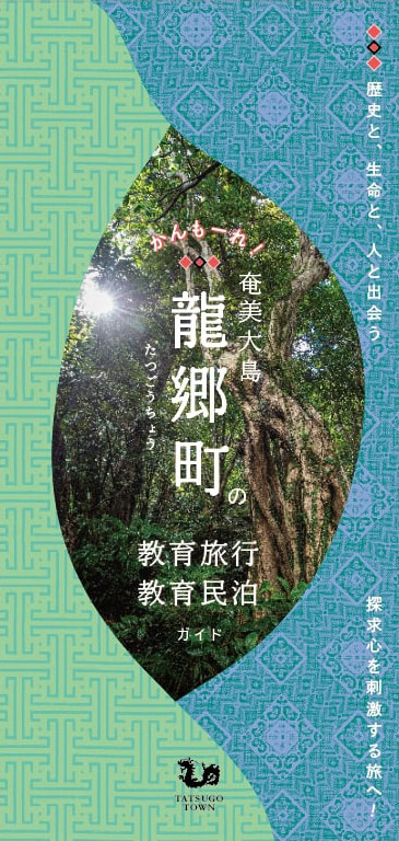  教育民泊三折_H1s2
