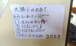 jidoukaimeate