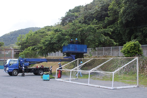 校庭樹木伐採