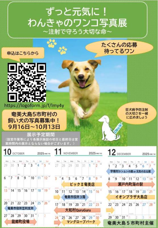 チラシ