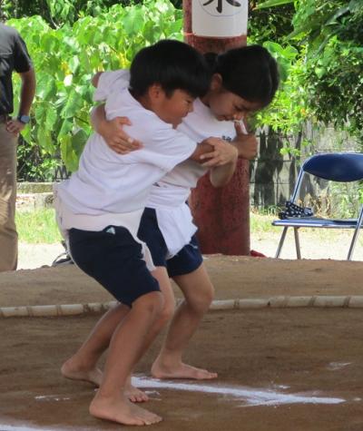 sumo1