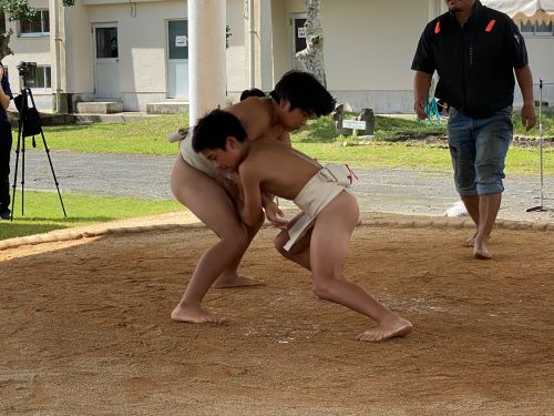 sumo5