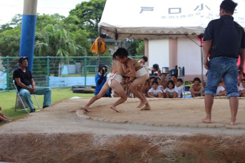 sumo1