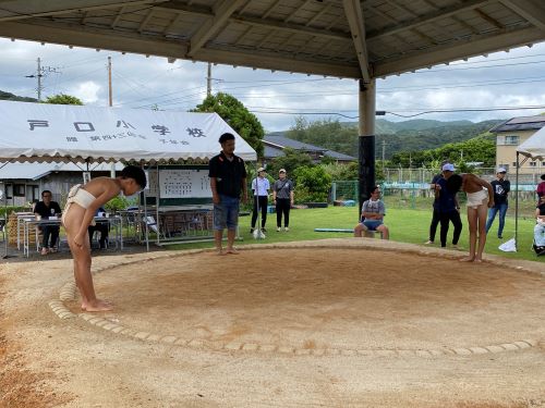 sumo3