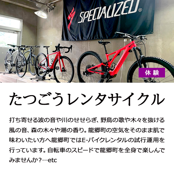 サイクル