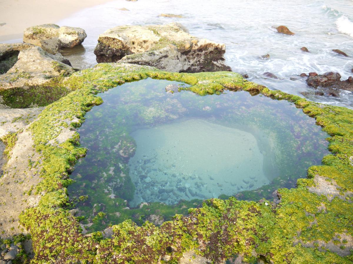 ハートロック 鹿児島県龍郷町