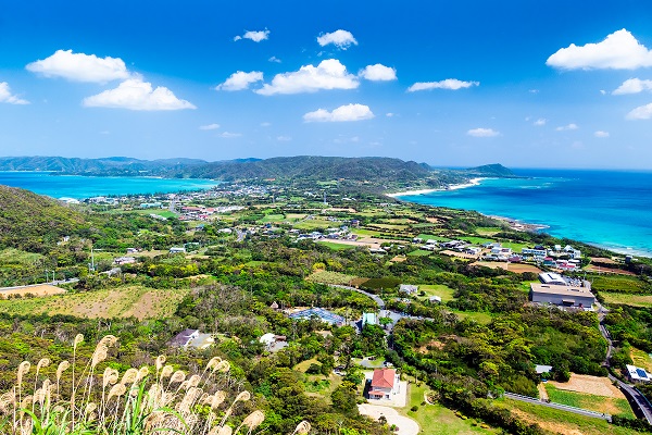 龍郷町へいも～れ  ｜鹿児島県龍郷町