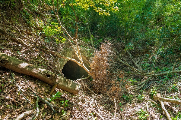 特攻基地01