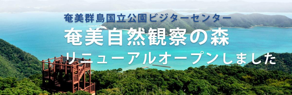 奄美自然観察の森