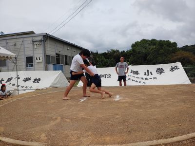 sumo1