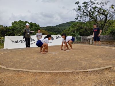 sumo2