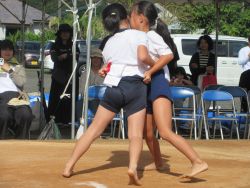 sumou1
