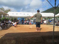 sumou2