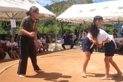 sumou3