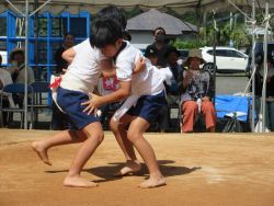 sumou4