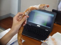 学修発表会劇の小道具づくり