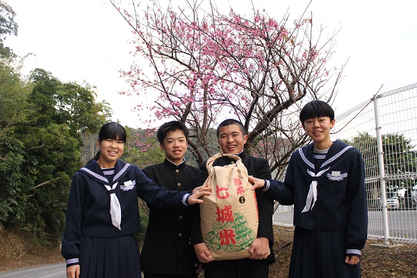 七城中のお米