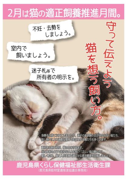 猫