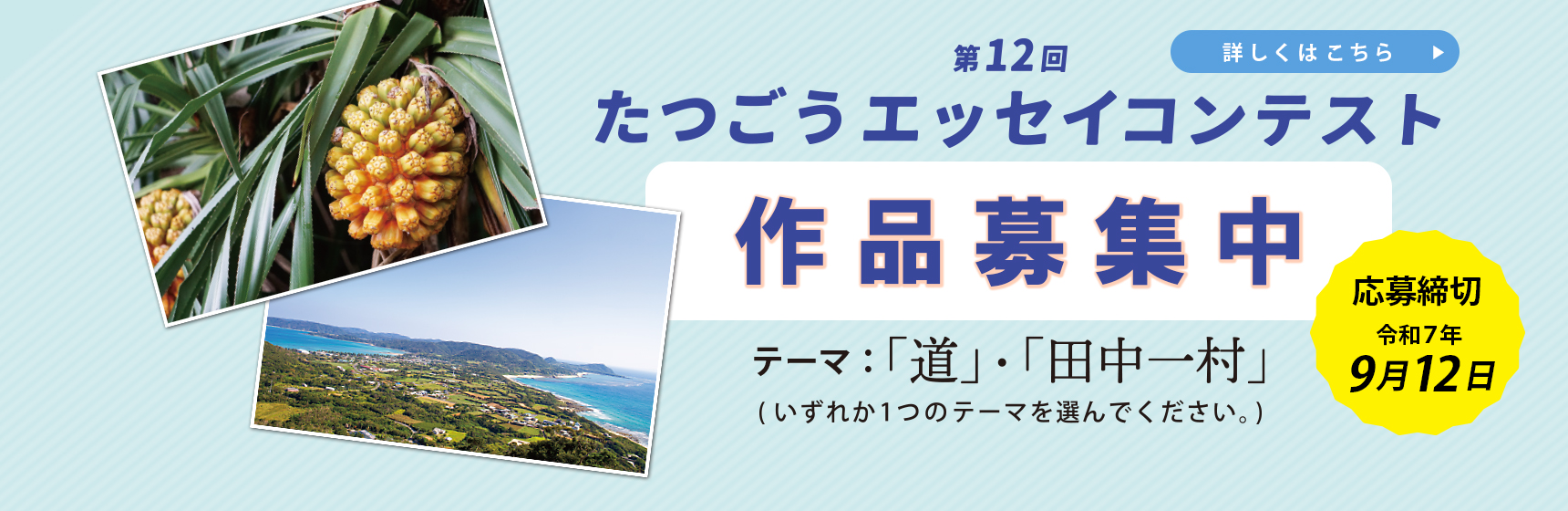 第12回たつごうエッセイコンテスト作品募集のおしらせ　応募テーマは「道」「田中一村」のどちらか一方を選択してください　詳しくはリンク先をご確認ください