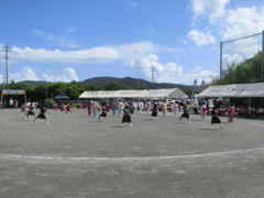 mirukumunari
