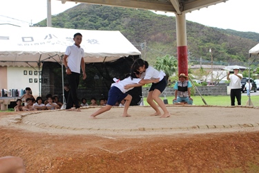 r8sumoutaikai4