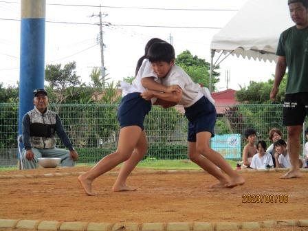 sumou1